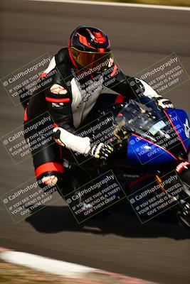 media/Feb-16-2024-CRA (Fri) [[3bc3e7055d]]/Group C/Session 4 (Turn 4)/